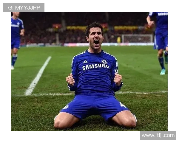 小法的足球传奇生涯揭秘他是哪个足球明星的背后故事与成就